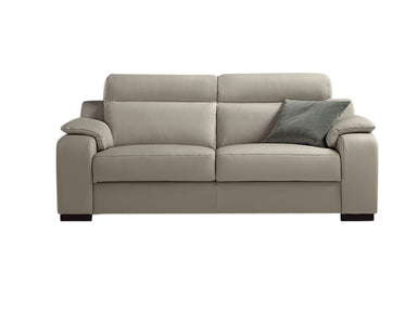 3 Seater (2 Cushion)